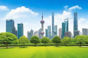 上海绿化招标网站排名，解析行业领先平台，助力绿色城市建设，揭秘上海绿化招标网站排行，行业领先平台助力绿色城市升级