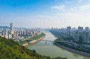 揭秘沙坪坝网站优化公司排名，如何选择最适合您的专业团队，沙坪坝网站优化公司哪家强？揭秘选择最佳专业团队指南