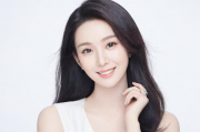 华美官方网站实力排名，揭秘行业翘楚的华丽蜕变，华美官网实力盘点，揭秘行业翘楚的华丽蜕变之路