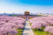 杏花岭区网站排名优化，提升网站流量，助力企业腾飞，杏花岭区网站流量翻倍秘籍，专业排名优化助力企业飞跃