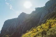 好，用户让我写一篇关于四川特色农产品补贴申请的文章，首先得确定标题。标题要简洁明了，又能吸引人，所以四川特色农产品补贴申请指南，助力农户增收这个标题不错，既点明了主题，又说明了作用
