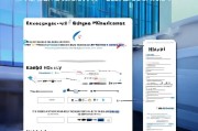 如何注册外汇交易公司，详细步骤与注意事项