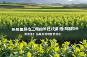 汾阳网站排名，揭秘提升网站流量与品牌影响力的秘密武器，汾阳网站流量与品牌影响力提升秘籍大揭秘