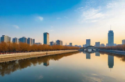 辽宁网站优化排名攻略，全方位提升网站SEO效果，辽宁SEO优化秘籍，全方位网站排名提升攻略