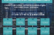 MSB牌照注册全攻略，步骤详解及注意事项