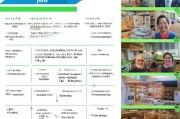 连锁便利店注册全攻略，流程、注意事项及成功案例分享