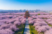 杏花岭区信息化网站排名，数字化转型的亮丽名片，杏花岭区数字化先锋，信息化网站排名彰显转型风采