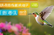 蜂鸟众包注册密码攻略，轻松完成注册，开启您的众包之旅