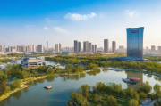 深入解析雄安网站排名推广策略，助力企业抢占网络市场先机，揭秘雄安，网站排名优化攻略，助力企业网络市场制胜
