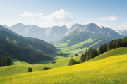 如何查网站排名，全方位指南助你提升网站SEO效果，网站SEO排名查询与提升全方位攻略