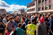 拉萨申请临时补贴，社会支持与民生关怀的体现