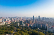 博山网站排名优化软件，助力企业提升网络竞争力，抢占市场先机，博山企业网络竞争力提升利器，网站排名优化软件抢占市场先机