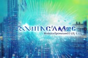 南昌网站优化有限公司，助力企业数字化腾飞的引擎