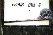 好，用户让我写一篇关于退役补贴申请的文章，标题和内容都要写。首先，我需要明确文章的结构。标题要吸引人，内容要详细且实用
