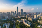 佛山网站排名优化，提升网站流量，抢占市场先机，佛山网站流量翻倍秘籍，专业排名优化，抢占市场制高点