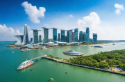 新加坡最受欢迎网站排名前三，揭秘当地网民的上网偏好，新加坡网民上网偏好揭秘，三大热门网站脱颖而出