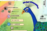 孔雀补贴申请资料指南，如何顺利申请补贴