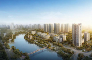 金山区国内网站设计排名，解析本地优质网站设计服务商的崛起之路，金山区网站设计服务商崛起，揭秘本地优质设计排名背后的故事