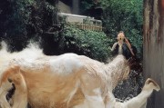 好，我现在需要帮用户写一篇关于海盐籍回盐补贴申请表的文章。首先，我得理解用户的需求。用户给了一个标题和基本的结构，但需要详细的内容，字数不少于837个字