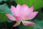 莲湖区优质网站维护公司的推荐，莲湖区优秀的网站维护公司推荐