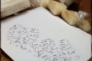 好，用户让我写一篇关于申请职位补贴查询的文章，标题和内容都要写。首先，我需要明确文章的结构和内容要点。标题要吸引人，内容要详细且实用