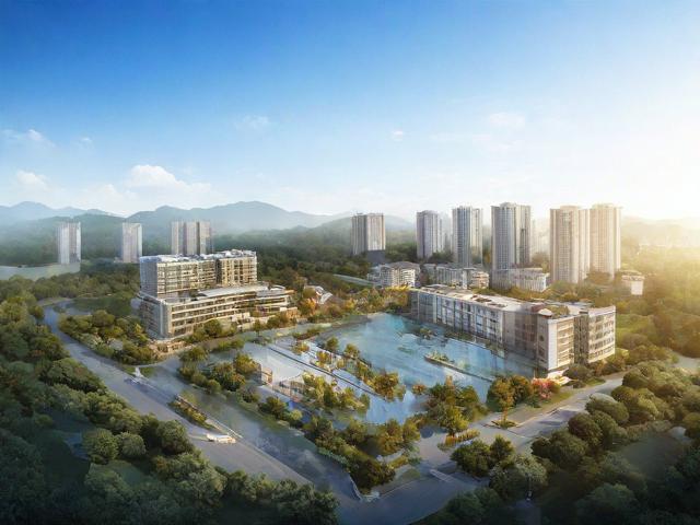 揭秘南安推广网站公司排名，助力企业抢占网络市场先机