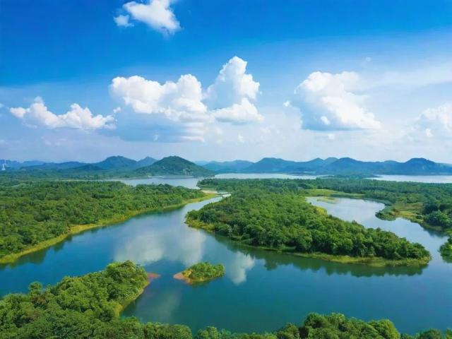 2023年度最佳风水网站排名，揭秘网络风水资源的佼佼者